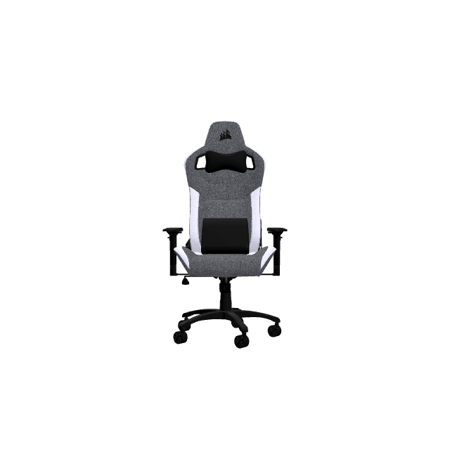 T3_Low_Poly_Grey_White_V2.glb